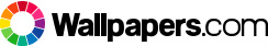 Wallpapers.com